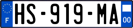 HS-919-MA
