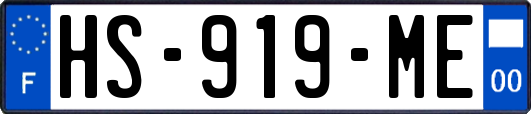 HS-919-ME