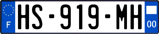 HS-919-MH