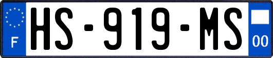 HS-919-MS