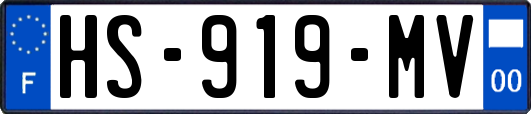 HS-919-MV