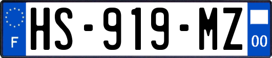 HS-919-MZ