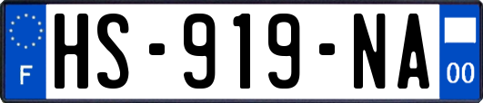 HS-919-NA