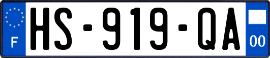 HS-919-QA