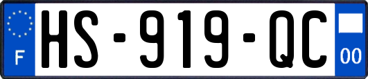 HS-919-QC