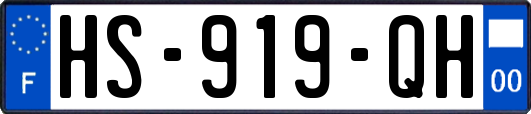 HS-919-QH