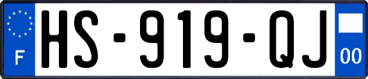 HS-919-QJ
