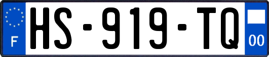 HS-919-TQ