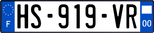 HS-919-VR