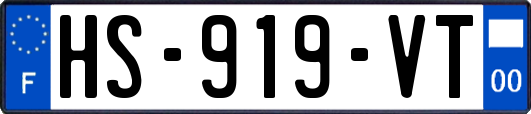 HS-919-VT