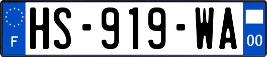 HS-919-WA