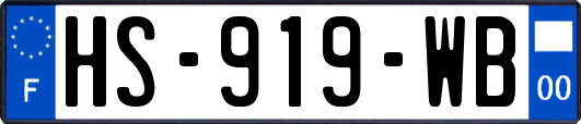 HS-919-WB