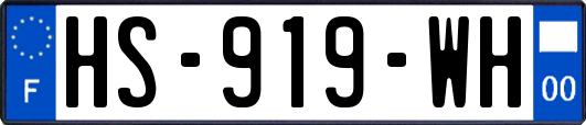 HS-919-WH