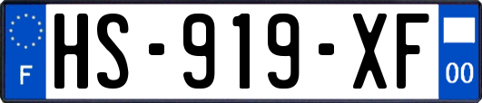 HS-919-XF