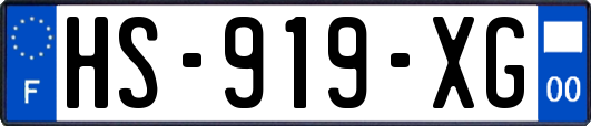 HS-919-XG