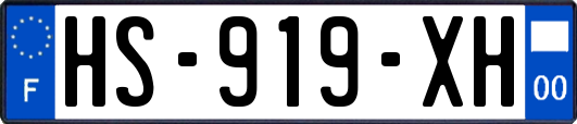 HS-919-XH