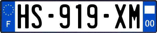 HS-919-XM