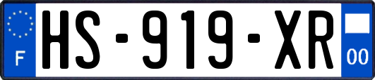 HS-919-XR