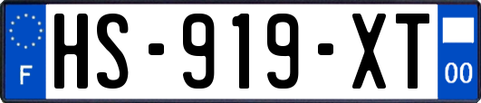 HS-919-XT