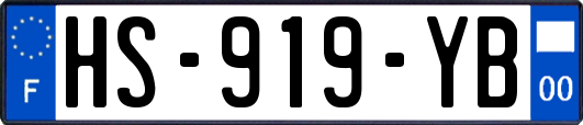 HS-919-YB