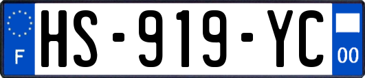 HS-919-YC