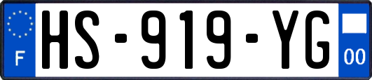 HS-919-YG