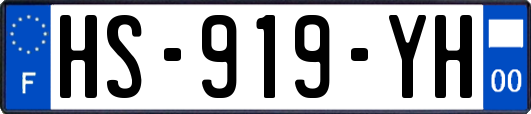 HS-919-YH