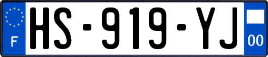 HS-919-YJ