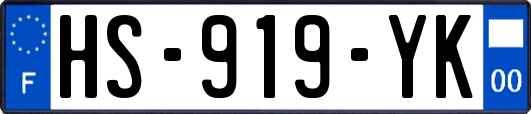 HS-919-YK