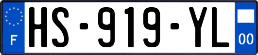 HS-919-YL