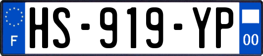 HS-919-YP