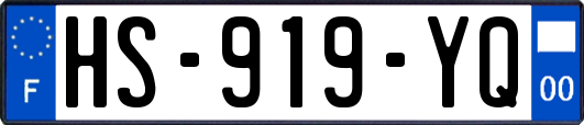 HS-919-YQ