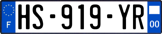 HS-919-YR