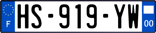 HS-919-YW