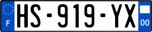HS-919-YX