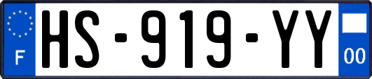 HS-919-YY