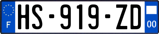 HS-919-ZD