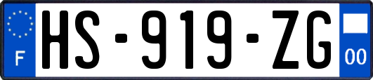 HS-919-ZG