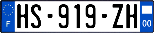 HS-919-ZH