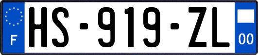 HS-919-ZL