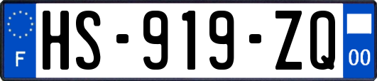 HS-919-ZQ