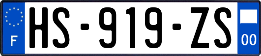 HS-919-ZS