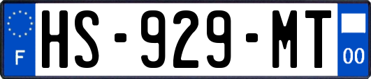 HS-929-MT