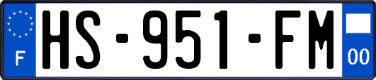 HS-951-FM
