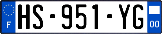 HS-951-YG