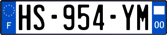 HS-954-YM