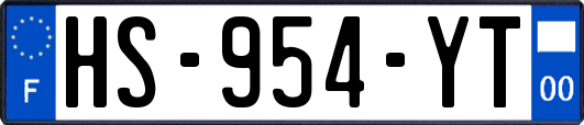HS-954-YT