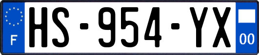 HS-954-YX