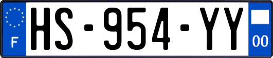HS-954-YY