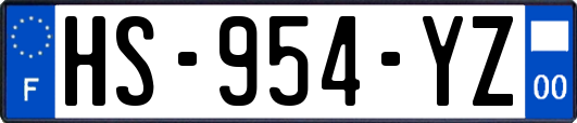 HS-954-YZ